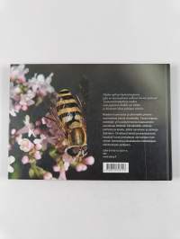 Mikä ötökkä? : Lasten oma ötökkäkirja