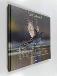 Siipien havinaa : tarinoita luomakunnan ilmiöistä