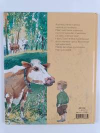 Matti ja kaikkien aikojen kesä