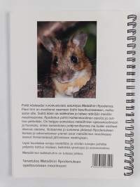 Metsähiiri Apodemus