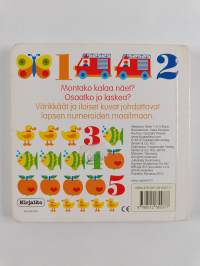 Värikäs numerokirja