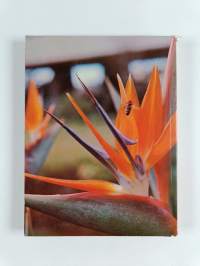 Madeira, kukkien saari