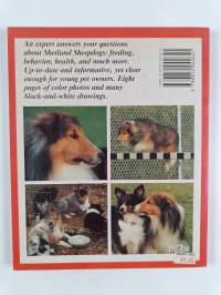Shetland Sheepdogs
