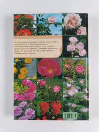 Suomalainen ruusukirja