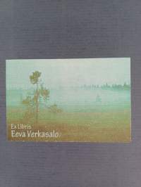 Leijat Helsingin yllä