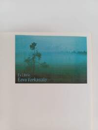 Kertomus näkevistä