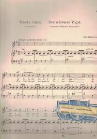 Musta lintu = Der schwarze Vogel