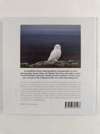Snowy Owl – A Year in the Life