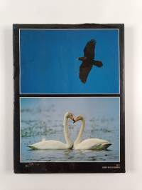 Kuukkelin maa : luontokuvaajan vuosi Kuusamossa