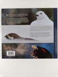 Metson suku : Suomen kanalinnut