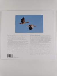 Liminganlahti : lintuparatiisin kahdeksan vuodenaikaa = Liminganlahti : a haven for birds through eight seasons