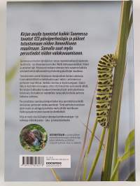 Suomen päiväperhoset