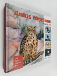 Ankis fågelbok för vanligt folk