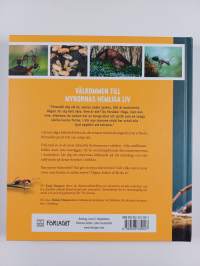 Myrornas hemliga liv