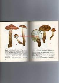 Venäjänkielinen sienikirja