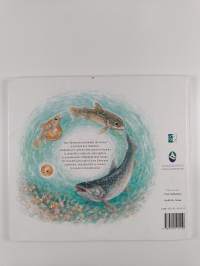 Aura Taimenen merimatka