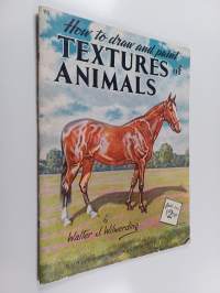 How to Draw and Paint Textures of Animals