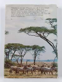 Nooan arkki ruohikossa