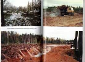 Siivet kantoivat : Minun elämäni (signeerattu, tekijän omiste)