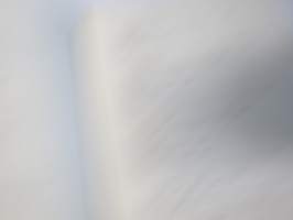 Kritik der allgemein angenommen Deutung der Furcula bei den Vögeln von E.J. Bonsdorf -eripainos 1869 -lintuihin liittyvä tieteellinen tutkielma, 4 liitekuvaa