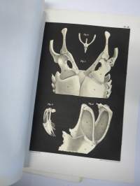 Kritik der allgemein angenommen Deutung der Furcula bei den Vögeln von E.J. Bonsdorf -eripainos 1869 -lintuihin liittyvä tieteellinen tutkielma, 4 liitekuvaa