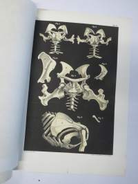 Kritik der allgemein angenommen Deutung der Furcula bei den Vögeln von E.J. Bonsdorf -eripainos 1869 -lintuihin liittyvä tieteellinen tutkielma, 4 liitekuvaa