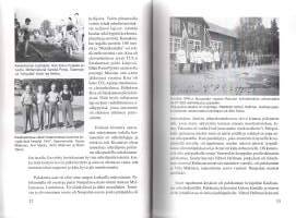 Muistikuvia 1930-luvun Nälkälänmäestä pikkupojan silmin..