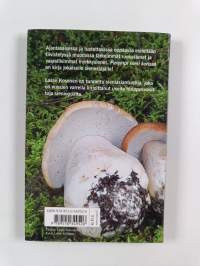 Parempi sieni korissa