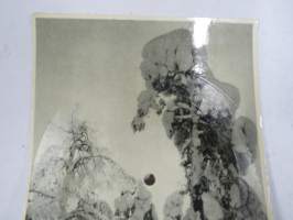 Hyvää Joulua - Valkea joulu - Lauluyhtye Musketöörit, Norlophon / Norsu Oy  -äänilevypostikortti 45 rpm postcard