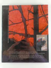 Sävy sävyyn Colourscape (signeerattu)