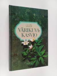 Uusi värikuvakasvio