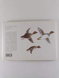 Bland kobbar och skär : skisser och stämningar