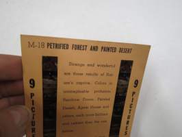 Petrified Forest and Painted Desert - Colorscope -katselulaitteen kuvasarja