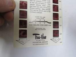 Children´s Fairyland Oakland California C-4 - Tru-Vue -katselulaitteen kuvasarja