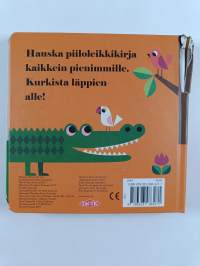 Missä on herra Leijona?