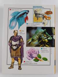 Löytöretki Värien maailma