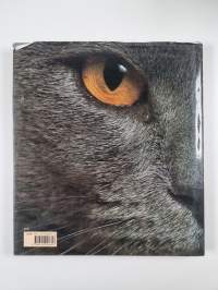 Miksi kissa on kissa