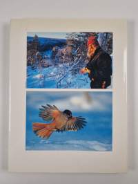 Taigametsän talvi : kuvia Koillismaalta