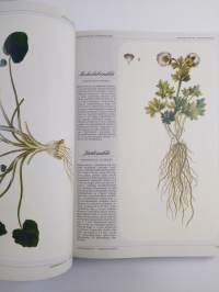 Flora : Suomen suurkasvio I-II