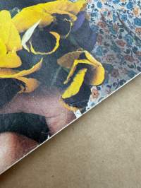 Me Naiset 1976 nro 21 ilmestynyt 20.5.1976, Tamminiemi, Andreas Alariesto, kuningatar Elisabetin luona kylässä