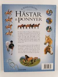 Hästar &amp; ponnyer