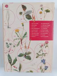 Koulu- ja retkeilykasvio