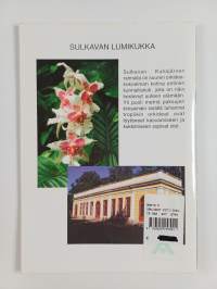 Orkideat koti-ikkunalla