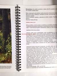 Värin aika, värinkäytön lupakirja 2 Virikeaineisto värien käytöstä kodin tilasuunnittelussa