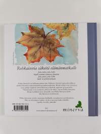 Joka päivä, joka hetki