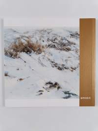 Ilkka Lammi : 1976-2000