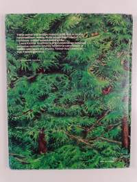 Metsänpeitto : kertomus kadonneista