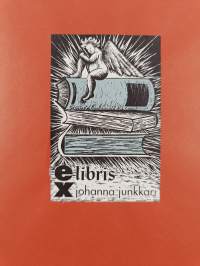 Perspektiivi - Kuvamatka perspektiivin teoriaan ja esittämiseen renessanssista poptaiteeseen.