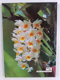 Kodin kukat : Orkideat 1