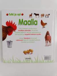 Maalla